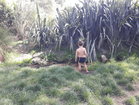 Screen Shot 2020-04-09 at 5.25.38 am