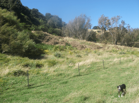 Screen Shot 2020-06-20 at 6.57.06 am