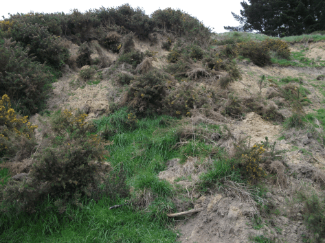 Screen Shot 2020-06-20 at 6.58.31 am