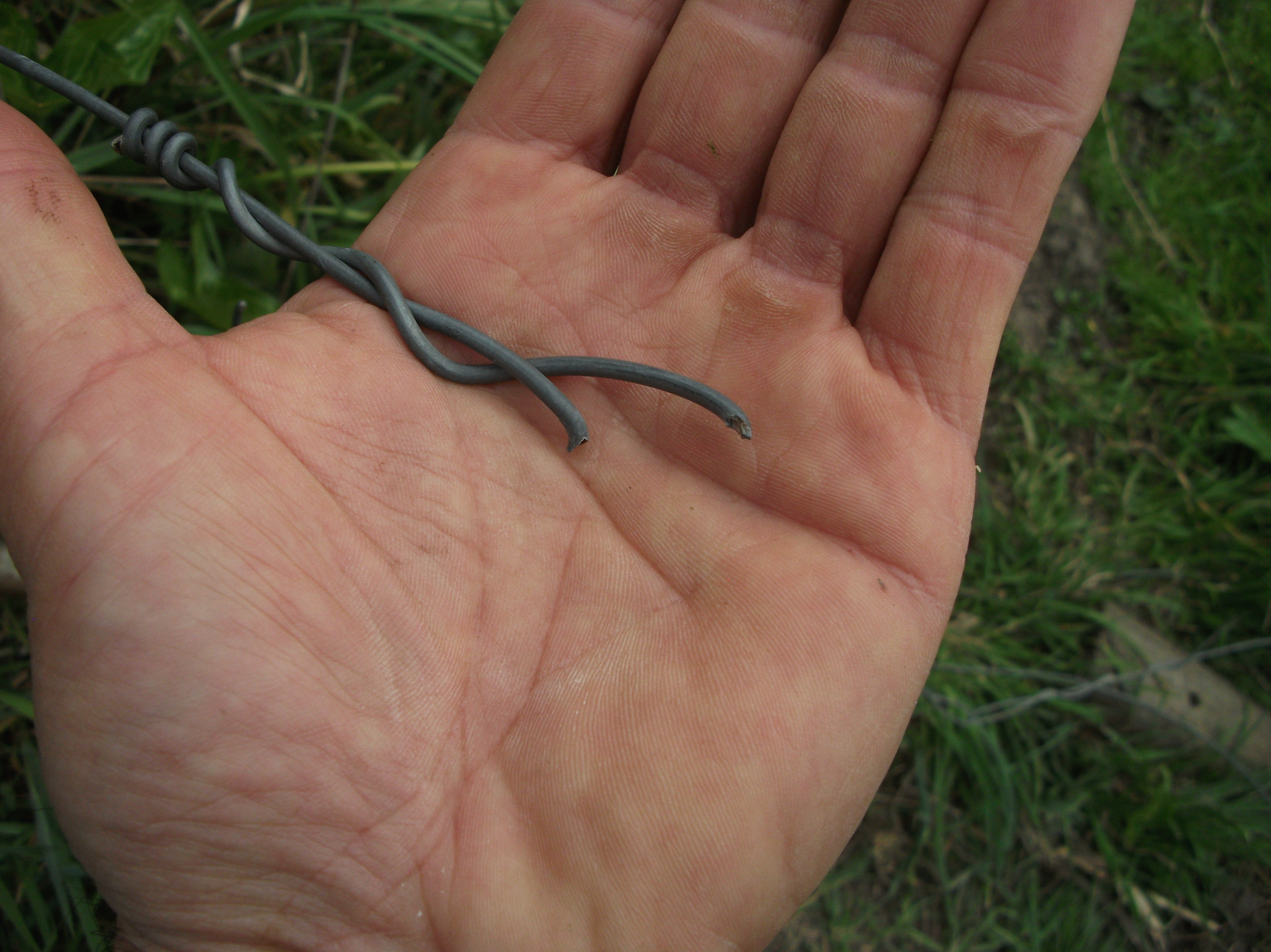 Screen Shot 2020-06-20 at 6.58.42 am