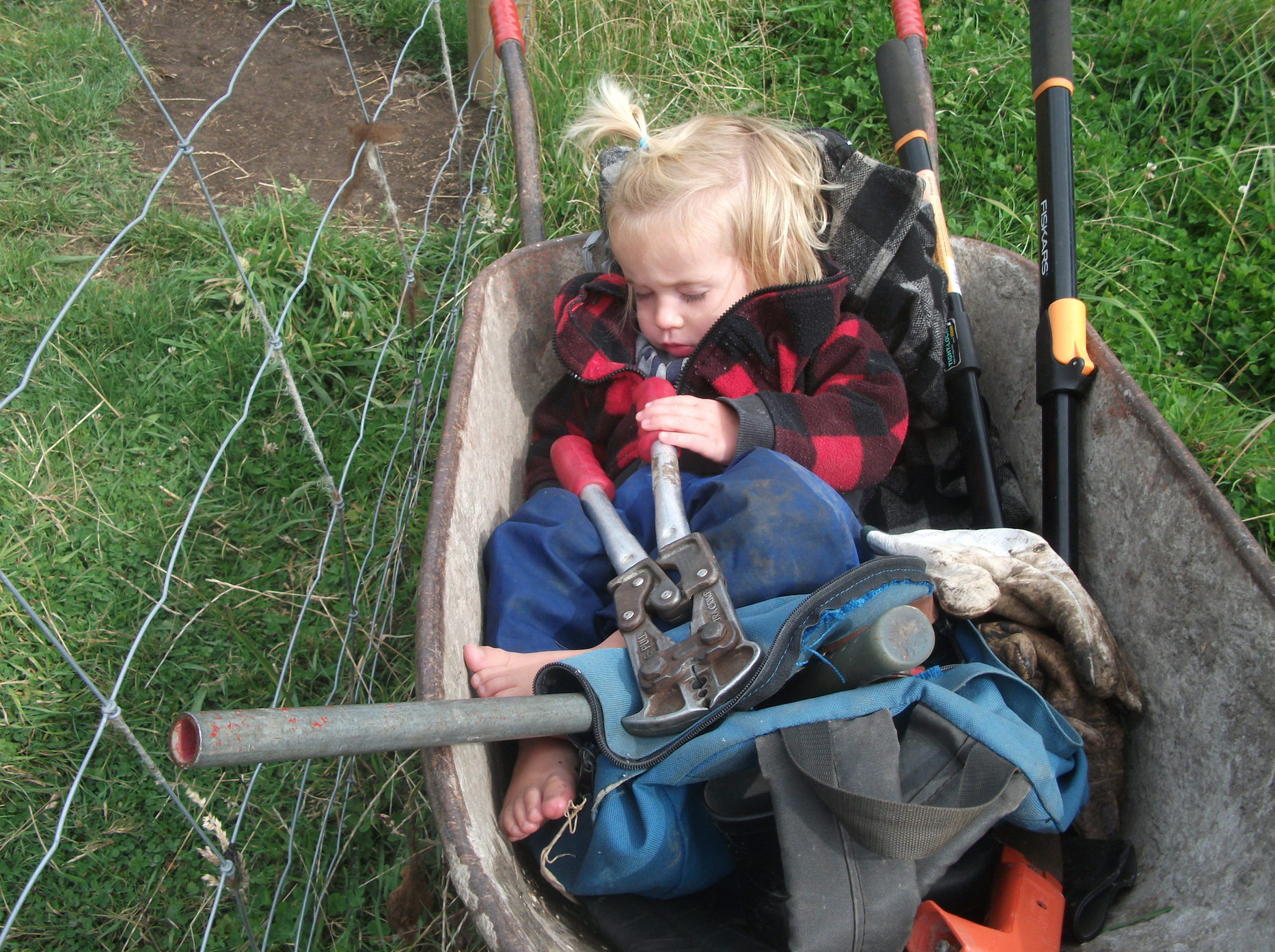 Screen Shot 2020-06-20 at 7.02.17 am