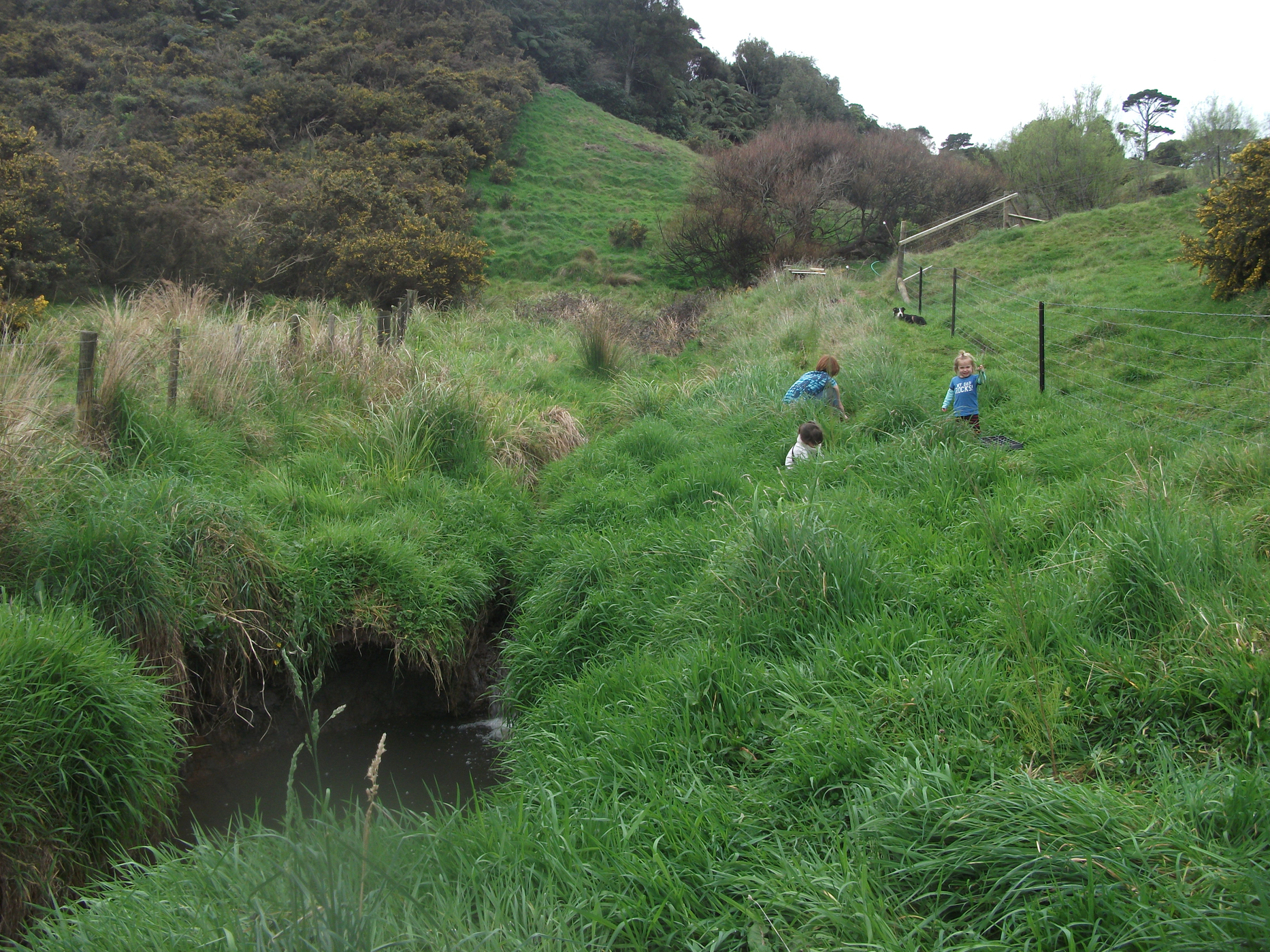 Screen Shot 2020-06-20 at 7.05.09 am