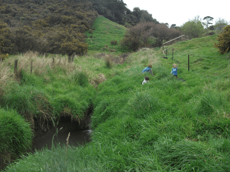 Screen Shot 2020-06-20 at 7.05.09 am