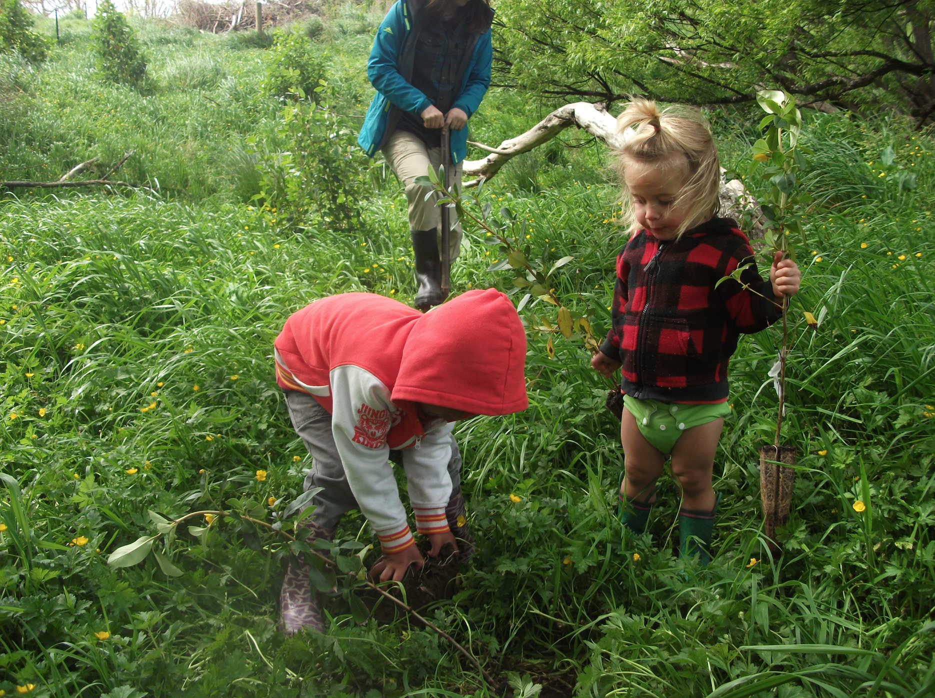 Screen Shot 2020-06-20 at 7.07.18 am