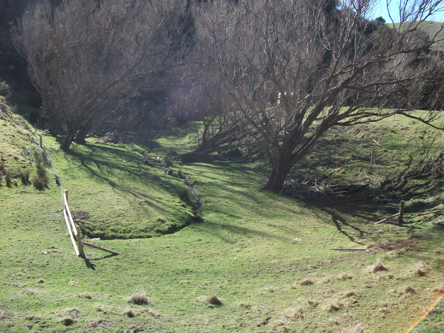 Screen Shot 2020-06-20 at 7.10.00 am