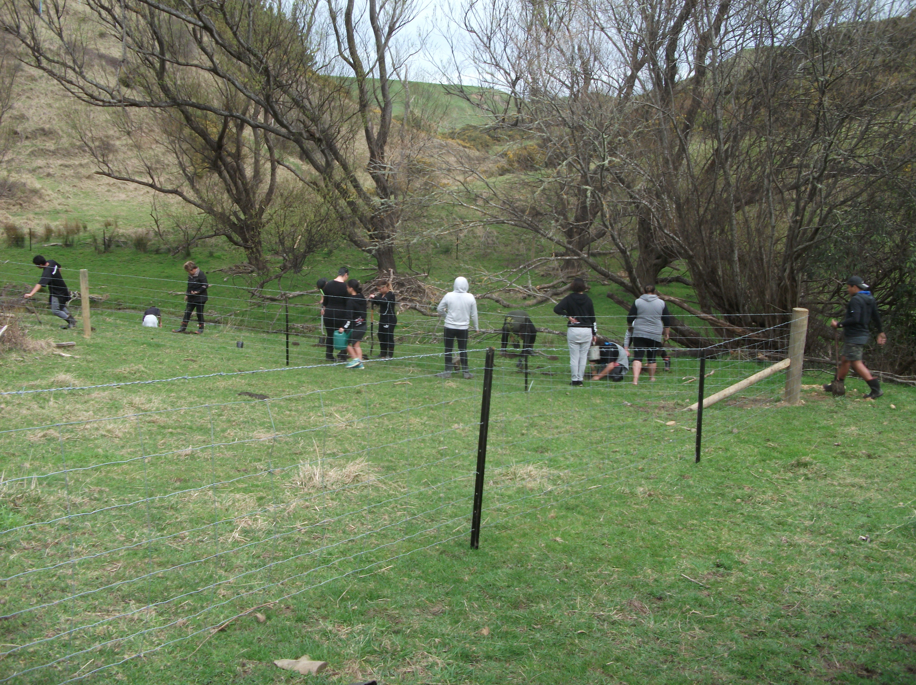 Screen Shot 2020-06-20 at 7.11.56 am