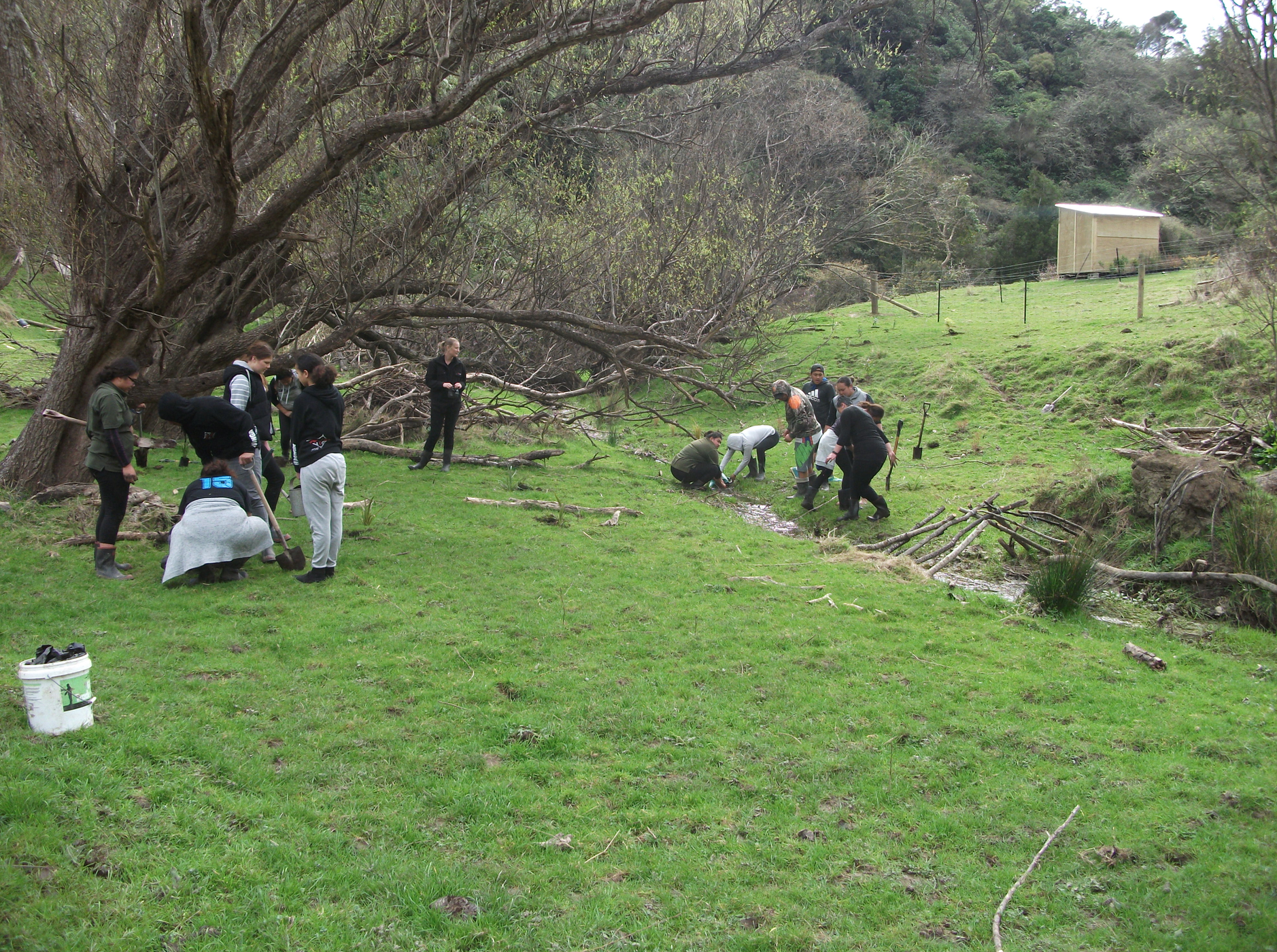 Screen Shot 2020-06-20 at 7.12.37 am