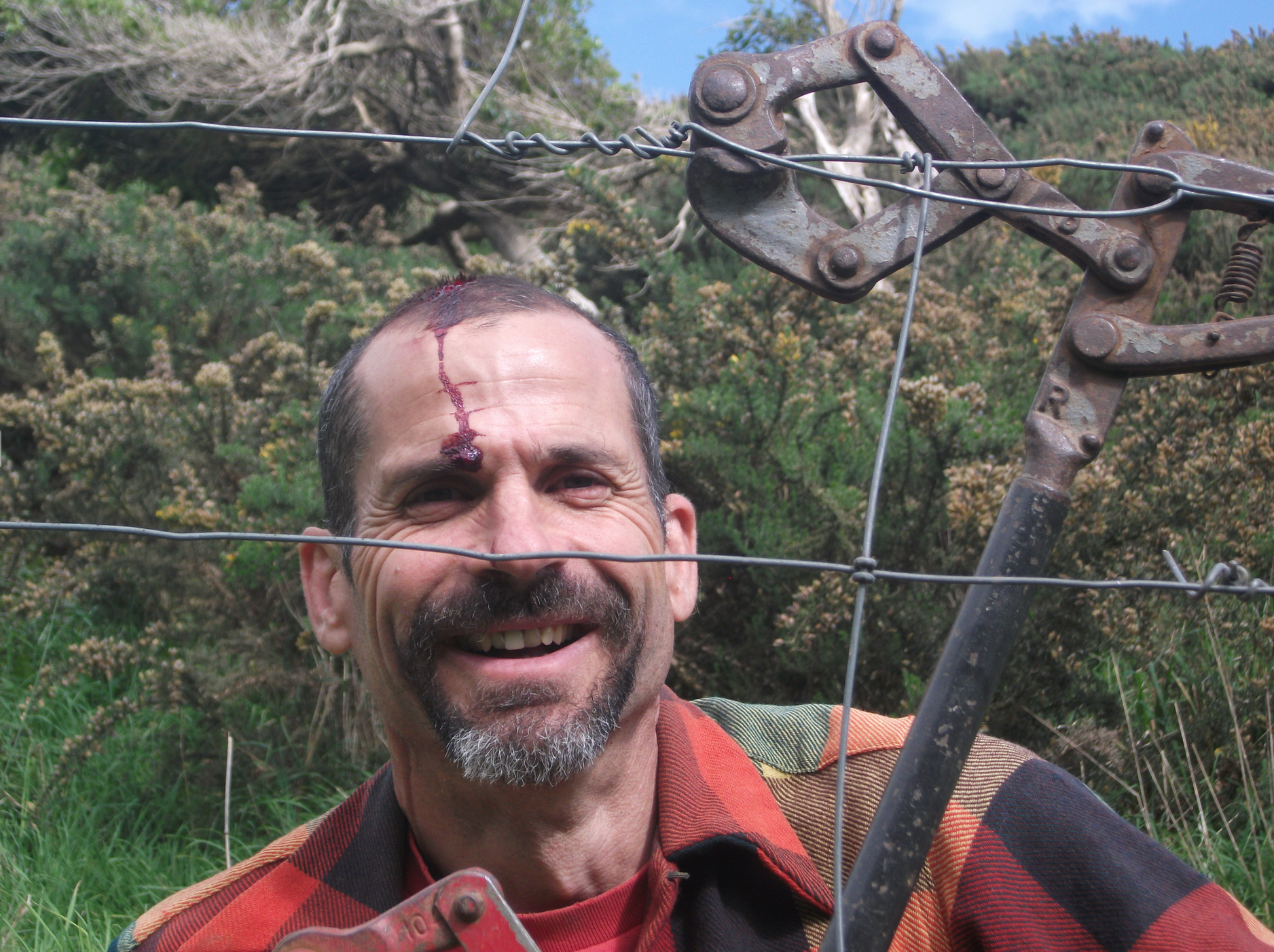 Screen Shot 2020-06-20 at 7.15.13 am