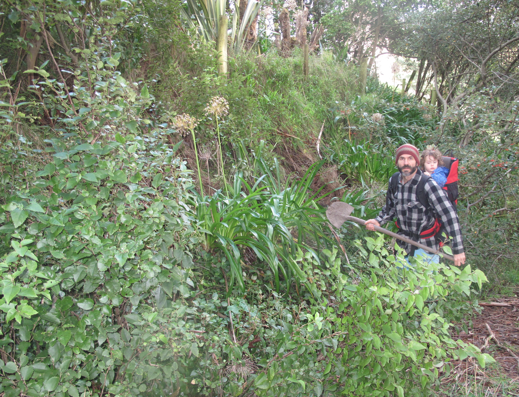 Screen Shot 2020-06-20 at 7.19.44 am