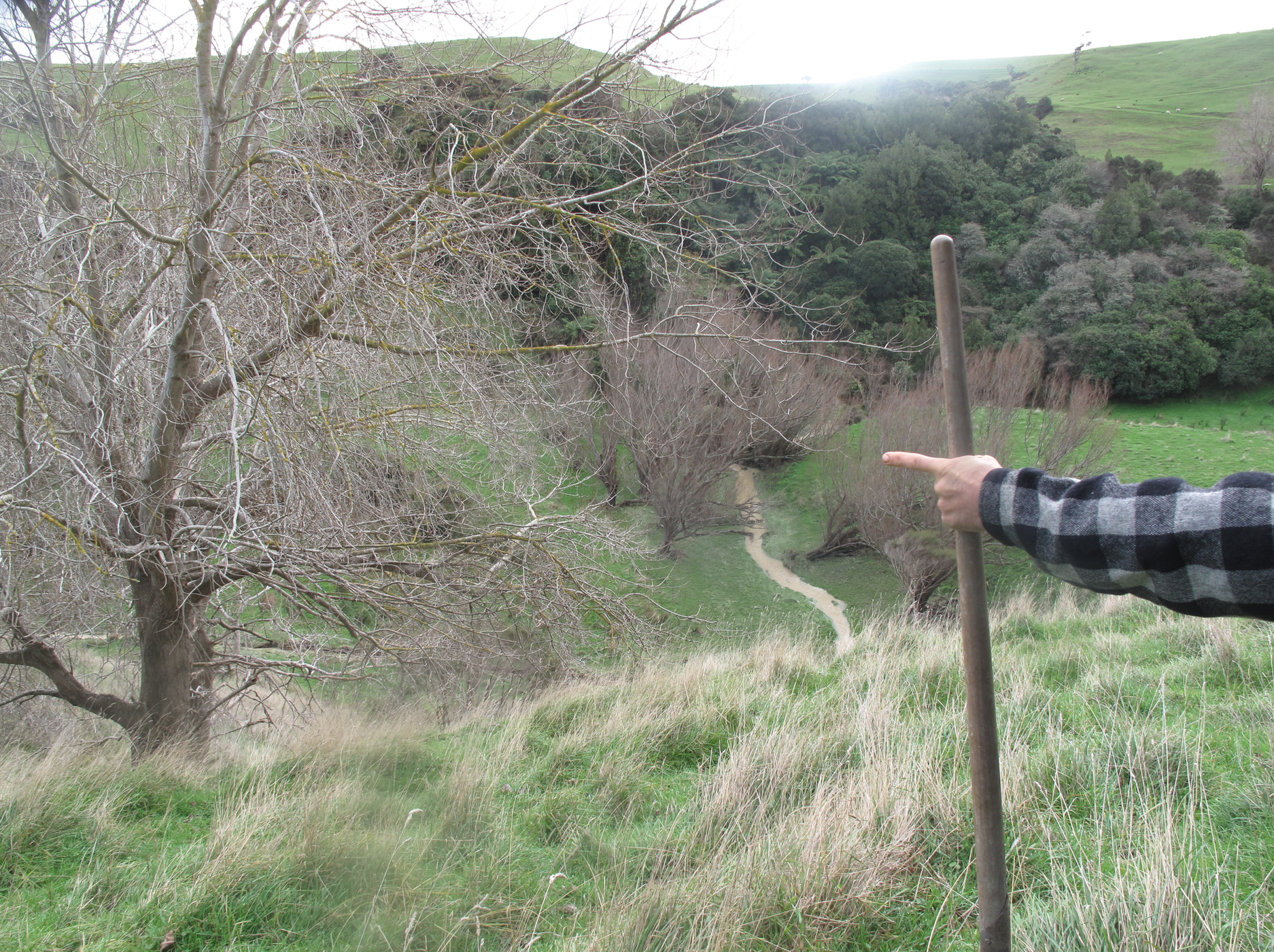 Screen Shot 2020-06-20 at 7.20.16 am