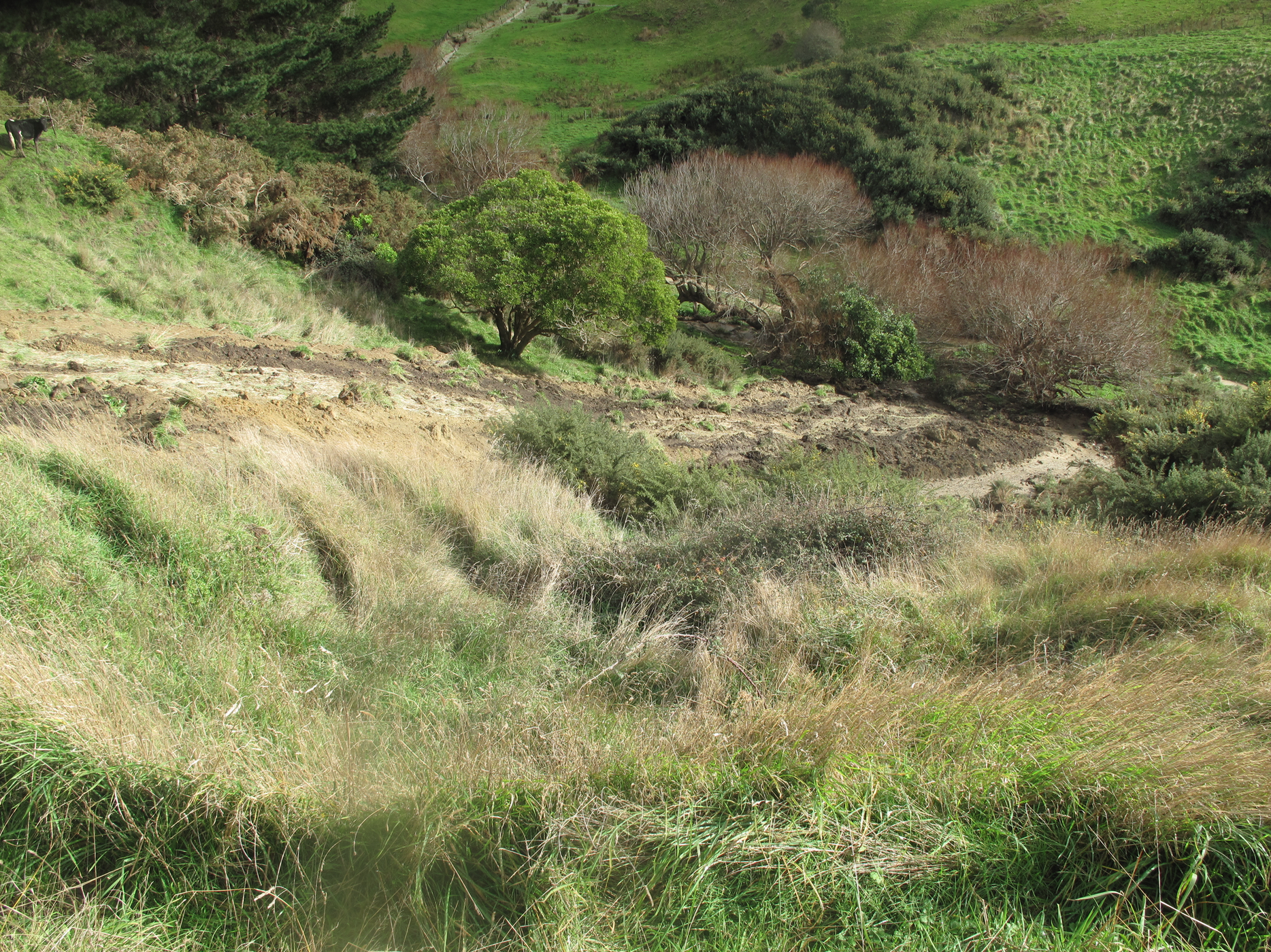 Screen Shot 2020-06-20 at 7.22.04 am