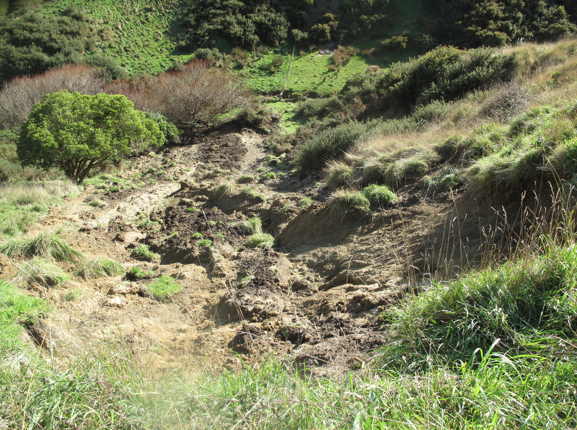 Screen Shot 2020-06-20 at 7.23.55 am