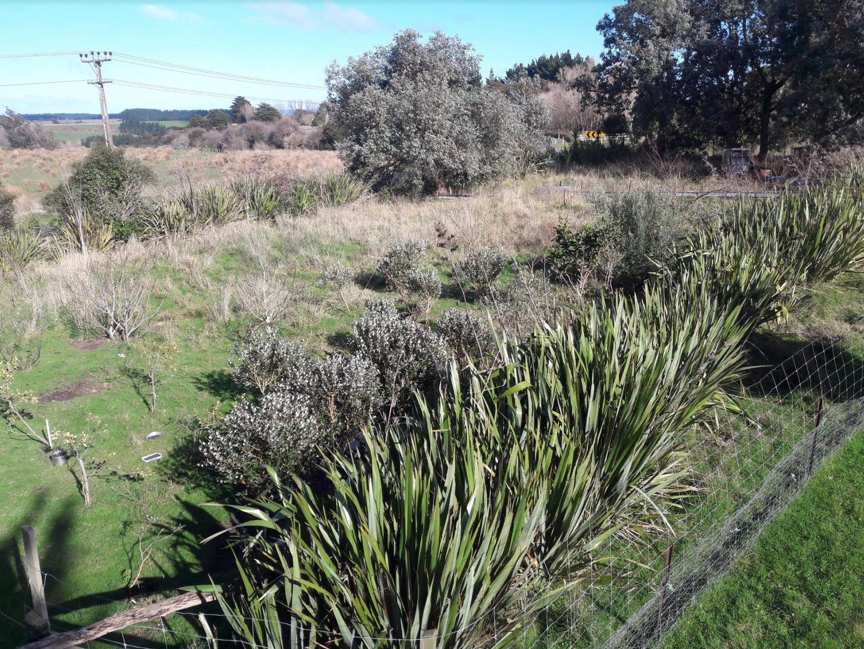 Screen Shot 2020-07-27 at 4.35.27 pm