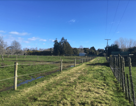 Screen Shot 2020-08-02 at 5.57.58 am